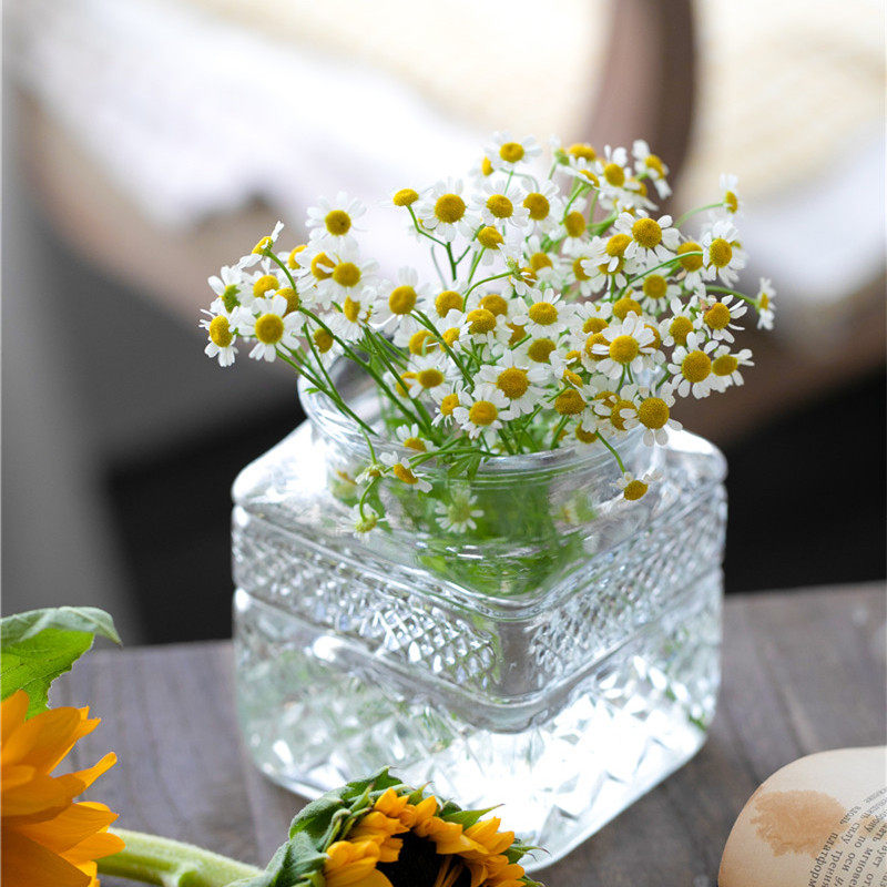 花时间 甜典 美式浮雕刻花方形大口桌面摆件玻璃花瓶水养植物瓶 花时间日系花瓶店 淘优券