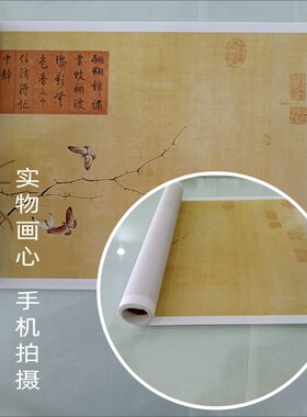 郎世宁百蝶图国画长卷艺术微喷