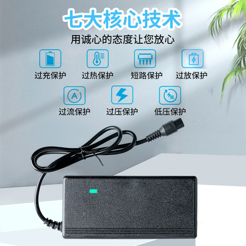 适用小米9号电动平衡车充电器四孔迷你九号配件幼儿车三孔头通用 - 图2