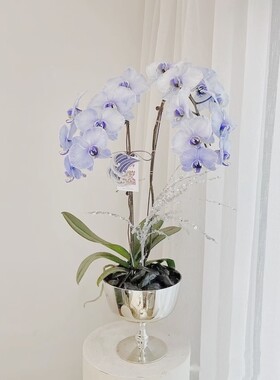 现代简约电镀银色镜面花盆