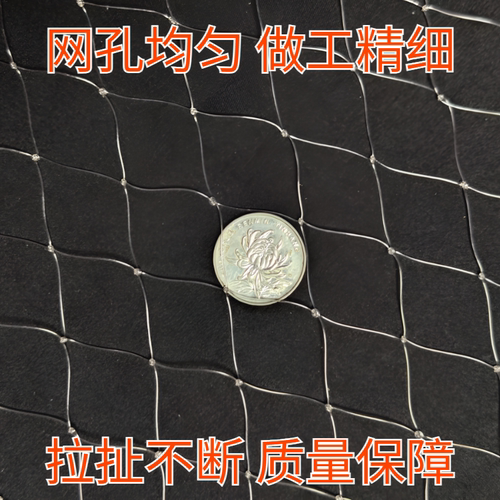 果树防鸟的网罩尼龙围网果园保护网鱼塘大棚阳台养殖驱鸟专用神器 - 图1