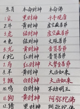 定制款银吊坠，请先联系好，直接拍不发货。