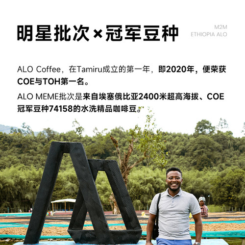 M2M埃塞ALO MEME水洗74158精品口粮浅烘手冲咖啡豆粉进口现磨正品 - 图2