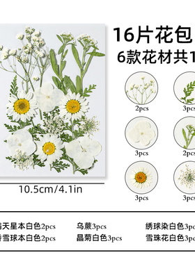 速发真花干燥花材料滴胶手机保护壳手工书扇贺卡团签压花玫瑰干燥