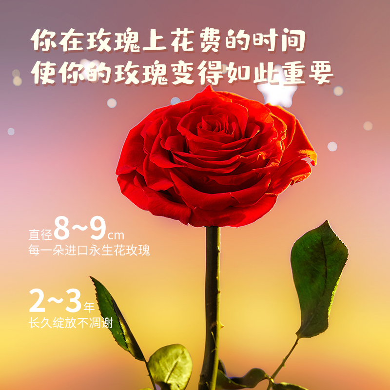 joyflower玫瑰花永生花生日《小王子》生日情人节礼物送女生朋友