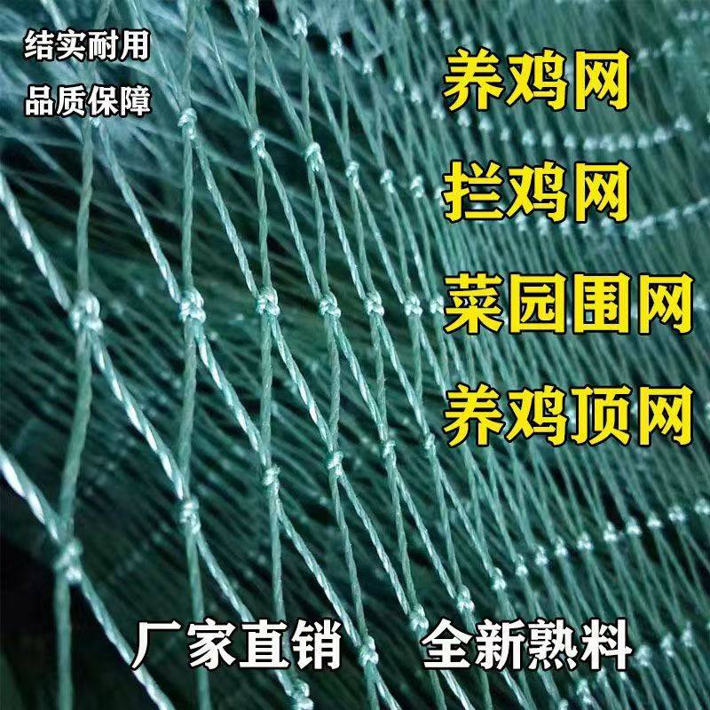 养鸡网养殖网拦鸡鸭网防鸟网隔断爬藤网菜园围网果园网护栏网天网,淘宝优惠券,粉丝福利购,淘宝优惠卷