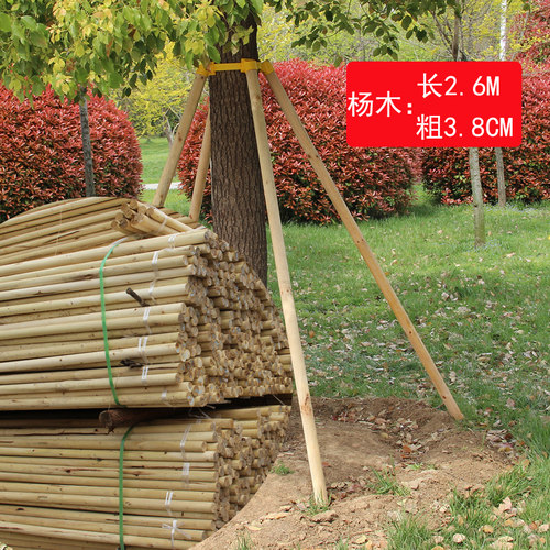 树木支撑固定器防风防倒支架大树木棍园林绿化树木支撑杆固定套杯 - 图1