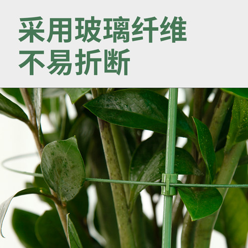 爬藤花架圆柱园艺支架阳台绿萝月季藤本植物攀爬铁艺支柱撑蟹爪兰 - 图1