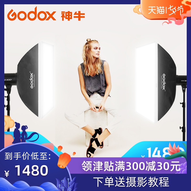 神牛SK400W雙攝影燈套裝影棚影視閃光柔光箱人像服裝影樓拍攝打光補光拍照套godox攝影棚