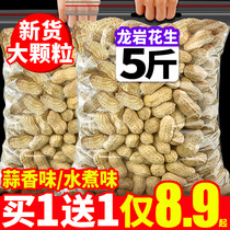 Bibizan Longyan rock Peanut With Shell Water Cooking Five Fragrant Milk Garlic Fragrant Peanut Rice Cooked Dry Sundry Snack Fried Bulk Wholesale