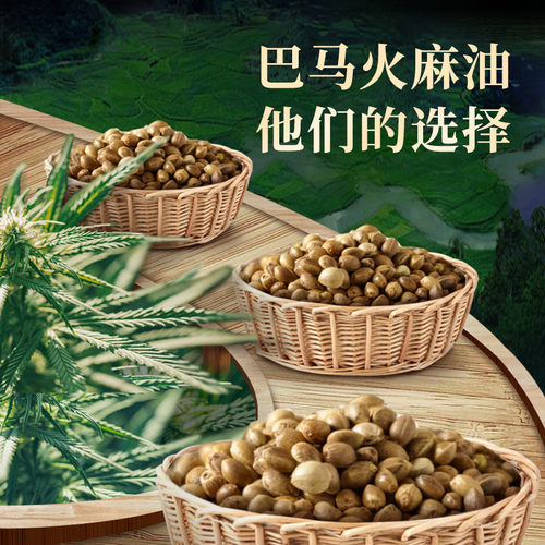 广西巴马正宗火麻油官方旗舰店有机立通火麻子植物籽油纯火麻仁油 - 图2