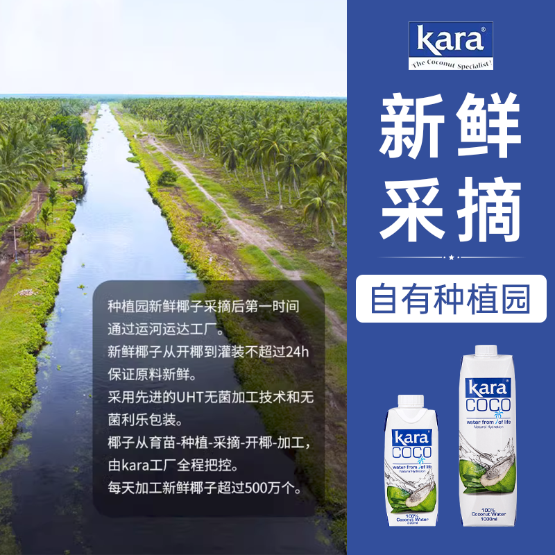 印尼进口Karacoco佳乐椰子水330ml青椰汁0脂电解质饮料补水椰子果 - 图1