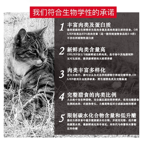 Оригинальное стремление Orijen для Канады импортированная кошка Nitten Cat Wugu Шесть видов рыб ВСЕ -КОТ