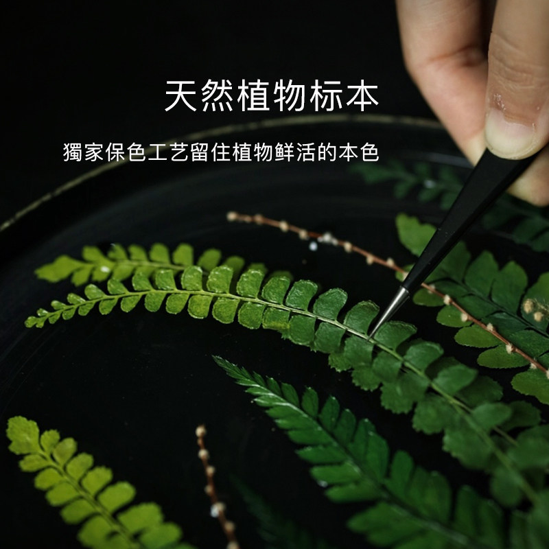 种籽造物漆息植物标本手作大漆茶盘非遗手工托盘摆件礼盒漆器礼物,淘宝优惠券,粉丝福利购,淘宝优惠卷