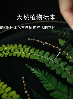 种籽造物天然植物手作大漆茶盘