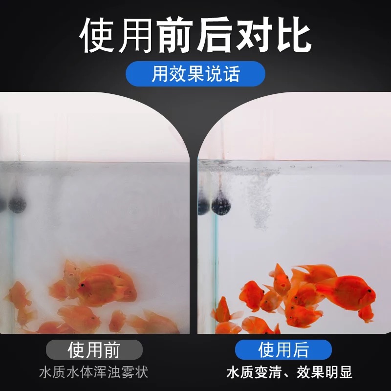 仟湖傲深OF天然永生稀土龙鱼红龙金龙银龙增艳魟鱼净水诱食性强 - 图3