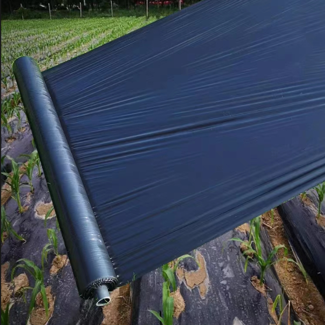 农用种植加厚抗老化黑色地膜塑料薄膜除草保温防草果树防寒直销,淘宝优惠券,粉丝福利购,淘宝优惠卷