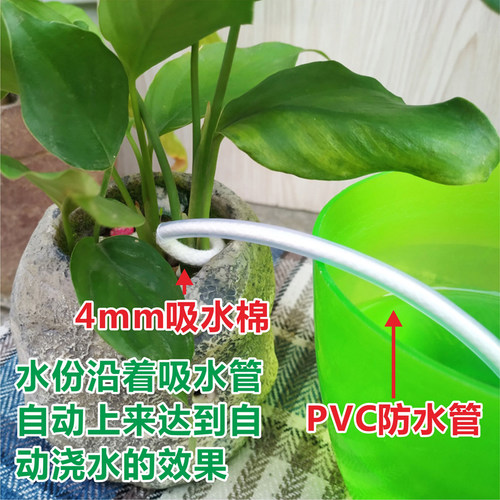 5个自动浇花器懒人滴水器阳台家用盆栽多肉外出差园艺浇水器渗水 - 图0