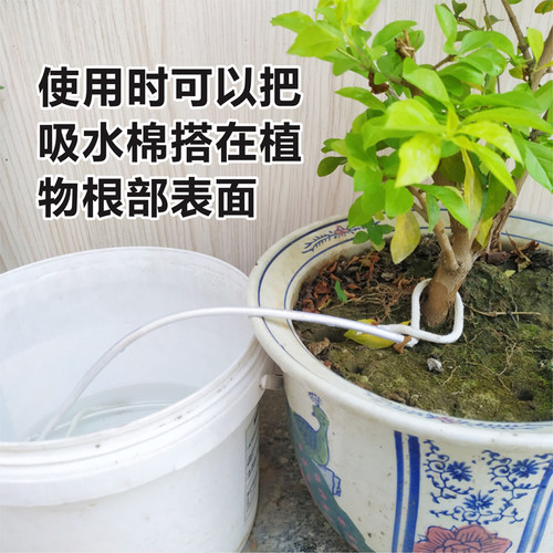 5个自动浇花器懒人滴水器阳台家用盆栽多肉外出差园艺浇水器渗水 - 图2