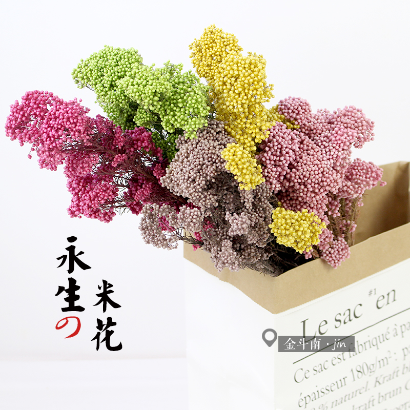 永生花米花干花原色粉天然真花ins家居插花装饰清新文艺软装摆设