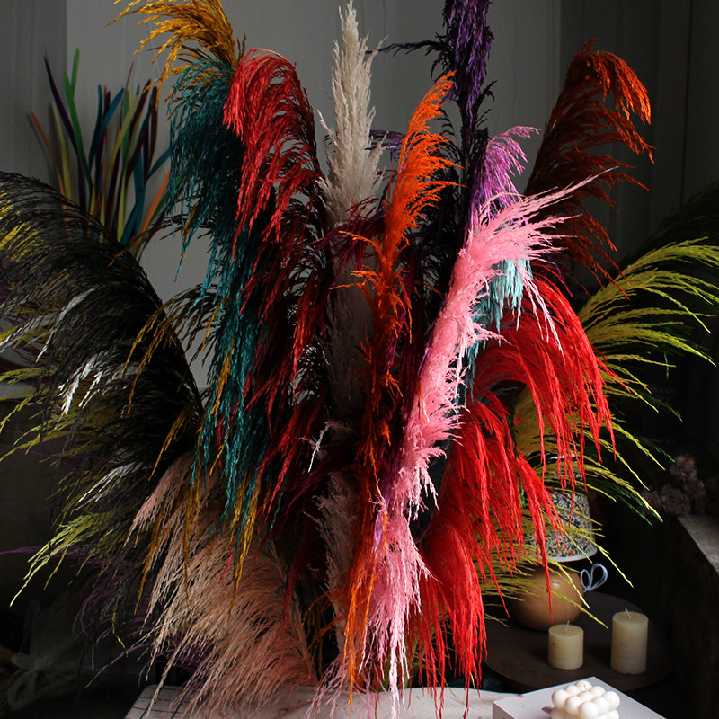 大芦苇干花长枝落地网红插花永生花服装店咖啡店橱窗摆设装饰造景,淘宝优惠券,粉丝福利购,淘宝优惠卷