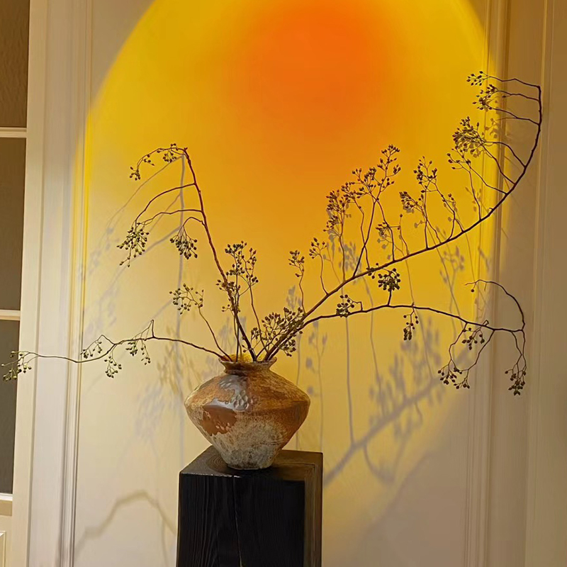 山归来永生花高级装饰干花插花意境落地摆件宅寂风线条干树枝真花 - 图2