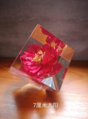 洛阳牡丹鲜花标本夜灯龙门旅游文化礼品摆件客厅禅意书房家居装饰