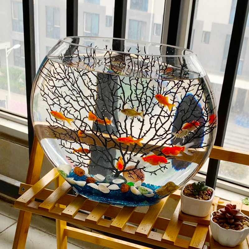 客厅扁椭圆形海铁树创意热带斗金鱼桌面迷你小型玻璃鱼缸客厅超白 - 图2