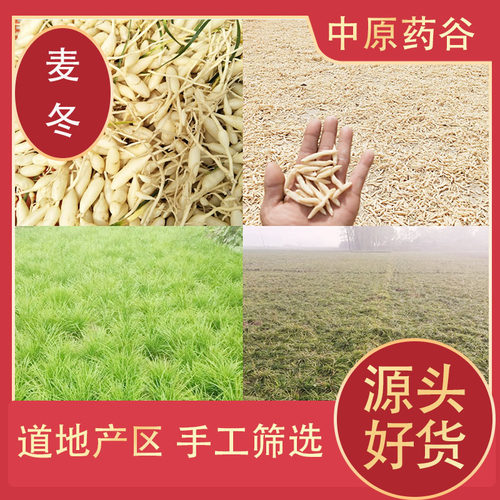 麦冬中药材正品麦冬500克特级正宗野生麦冬无硫泡水干货川麦门冬 - 图1