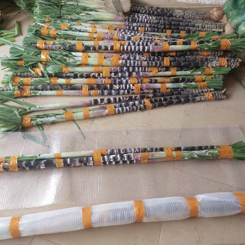2整根黑皮甘蔗海南三亚新鲜当季应季水果特产结婚搬家新居喜事 - 图0