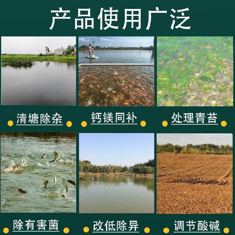 生石灰块石灰粉鱼塘消毒杀菌刷树氧化钙颗粒畜养殖场牧吸潮干燥剂 - 图2