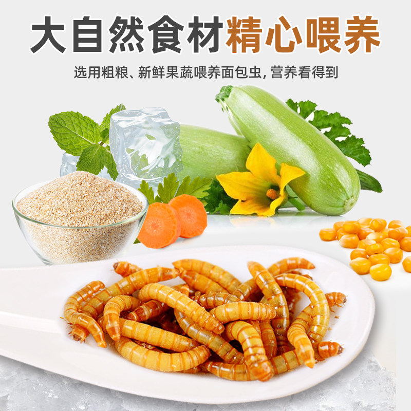 鸟食面包虫干玄凤鹦鹉八哥专用鸟粮画眉鸟鹩哥绣眼幼鸟斑鸠鸟饲料,淘宝优惠券,粉丝福利购,淘宝优惠卷