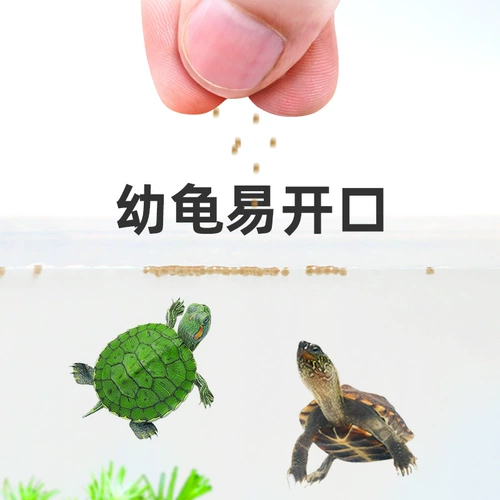 Молодая черепаха с черепахой кормление черепах саженцев открыть зерно бразильские черепахи Специальная черепаха Универсальная черепаха пища