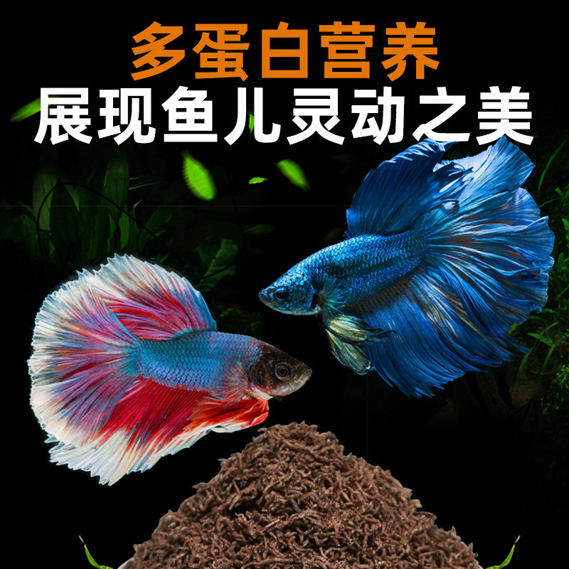 红虫干观赏鱼鱼饲料孔雀鱼热带鱼小型鱼冰冻鱼食冻丰年虾斗鱼鱼粮,淘宝优惠券,粉丝福利购,淘宝优惠卷