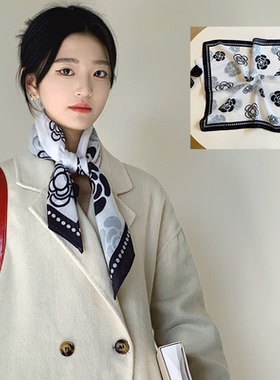 高级感丝巾轻奢高档方巾女系脖发带春秋2026新款百搭时尚搭配衬衫