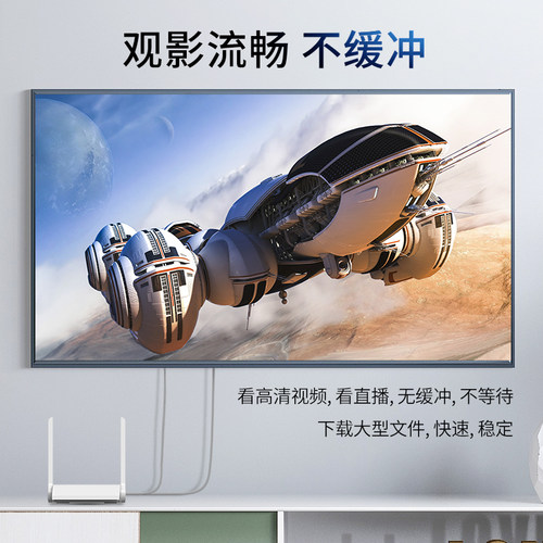 Jasoz捷森 超五类成品网线 百兆网络连接线 CAT5e超5类跳线 E101 - 图0