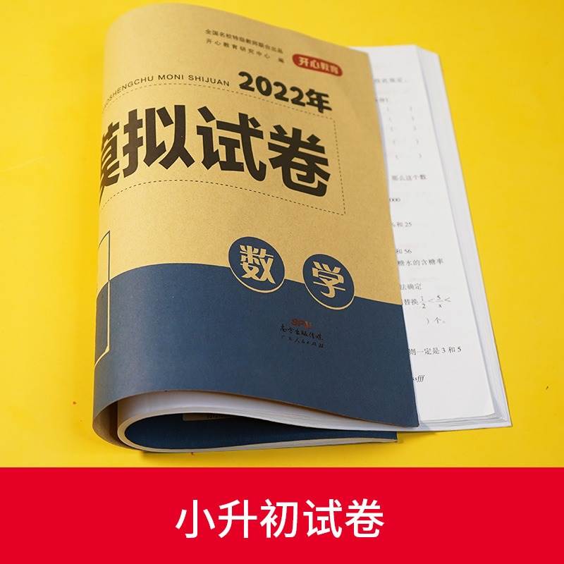 2023小学毕业升学试卷人教版数学必刷题小升初名校冲刺系统总复习资料精选六年级下册数学试卷模拟专项训练习题6年级下册试卷-图3