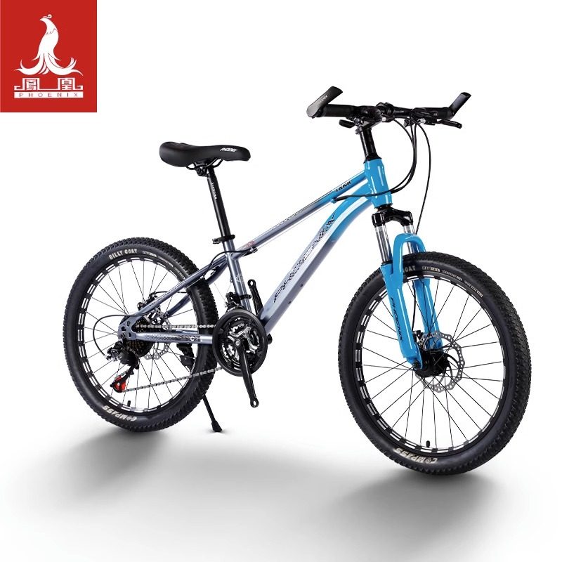 凤凰儿童自行车男孩6-8-15岁女孩变速中大童单车20寸小孩学生山地,淘宝优惠券,粉丝福利购,淘宝优惠卷