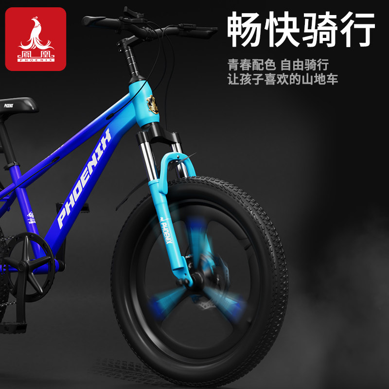  凤凰童车自行车