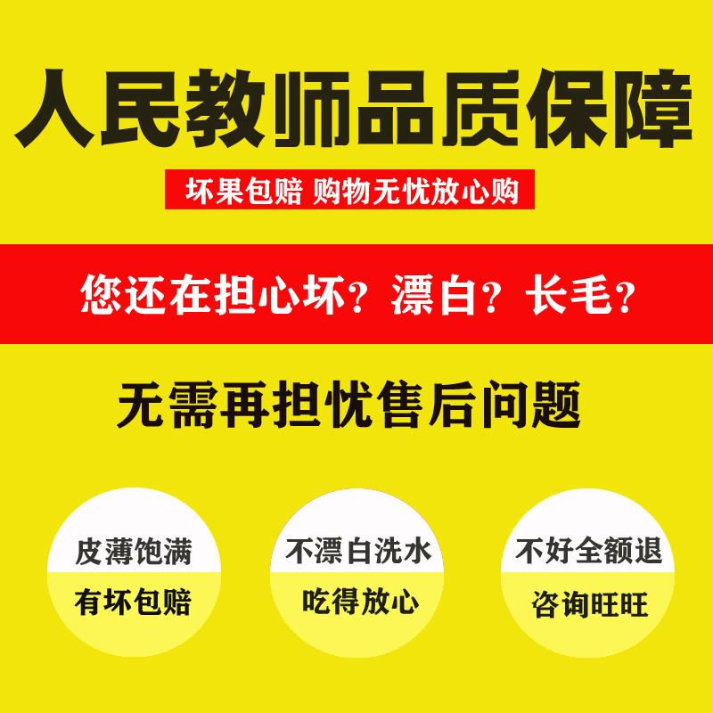 新疆阿克苏纸皮核桃薄皮新鲜生新货原味薄壳一级散装坚果孕妇专用 - 图0