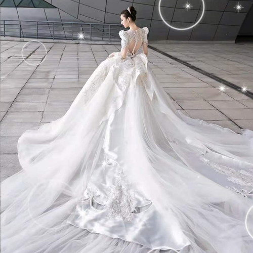 【织女星】新款宫廷长袖气质重工婚纱遮手臂梦幻豪华拖尾主纱 - 图3