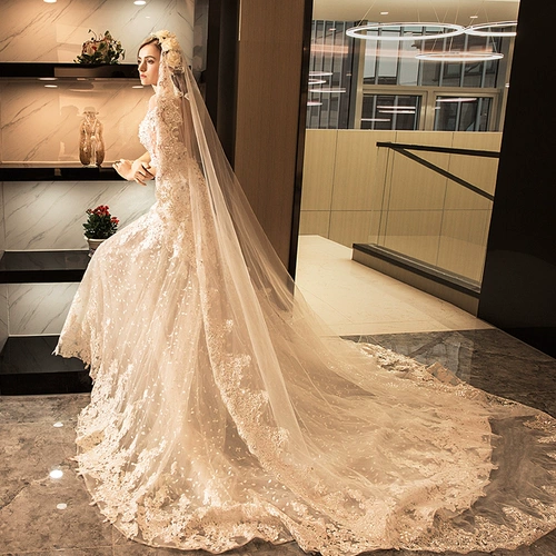 媛菲莎妮 Основное свадебное платье 2023 Новая осенняя свадебная невеста Женат на рыбном хвосте с длинным хвостом