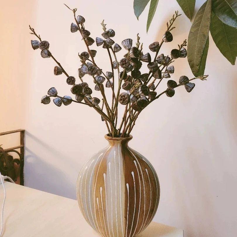 新鲜尤加利果云南鲜花直发新鲜尤加利基地插花客厅摆件干花精品,淘宝优惠券,粉丝福利购,淘宝优惠卷