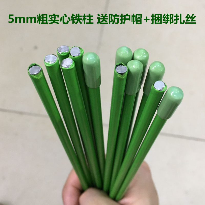 金钱树植物花架蔬菜瓜果黄瓜豆角番茄爬藤架园艺支撑杆户外攀爬架-图1