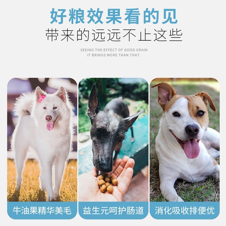 艾尔狗粮1.5kg装星期六成犬金毛拉布拉多马犬通用型狗粮