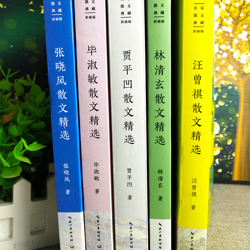 名家散文书汪曾祺林清玄贾平凹毕淑敏张晓风余秋雨宗璞丰子恺丁立梅迟子建肖复兴梁衡巴金冯骥才冰心史铁生散文作品集经典青少年版 - 图2