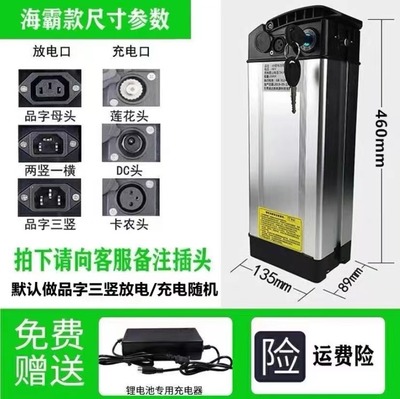 36V48v15AH电动车锂电池银鱼款爱玛富士达邦德科讯睦商喜德盛 - 图1