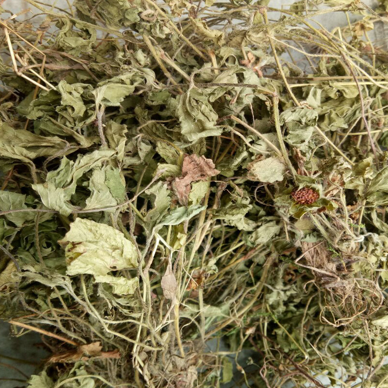 野生中药材蛇霉 干货蛇泡草  地杨梅 疗疮药 地莓 三点红一斤包邮