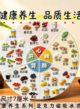 亚克力磁吸五脏六腑食疗冰箱贴