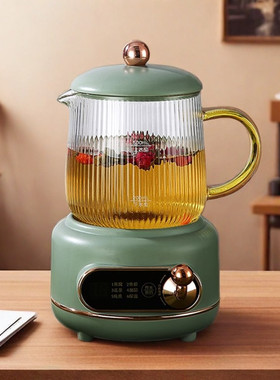 养生杯电炖杯便携式烧水杯玻璃养生壶电热杯办公室小型煮花茶茶壶
